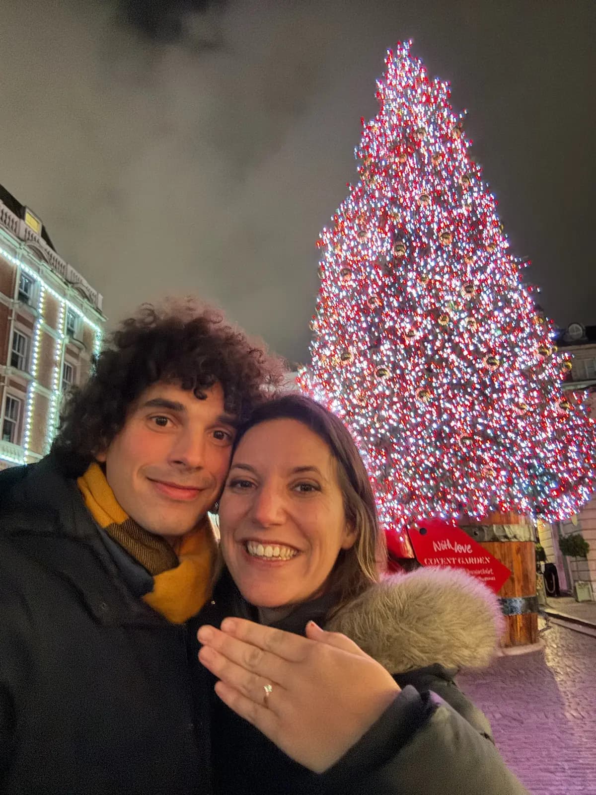 The marriage proposal - 1